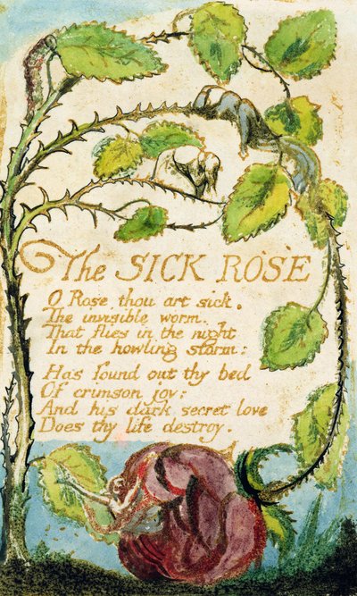 La rosa malata, da Songs of Innocence da William Blake